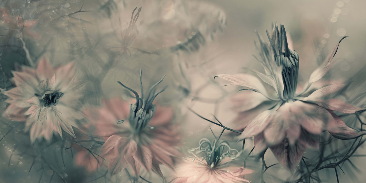 Tapet Vintage Blossoms, Rebel Walls - 1 | YEO