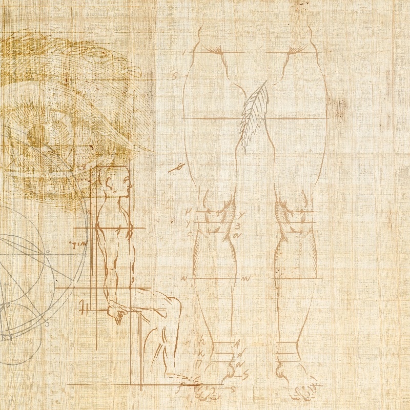 Fototapet Anatomy of numbers - personalizat, VLAdiLA - 4