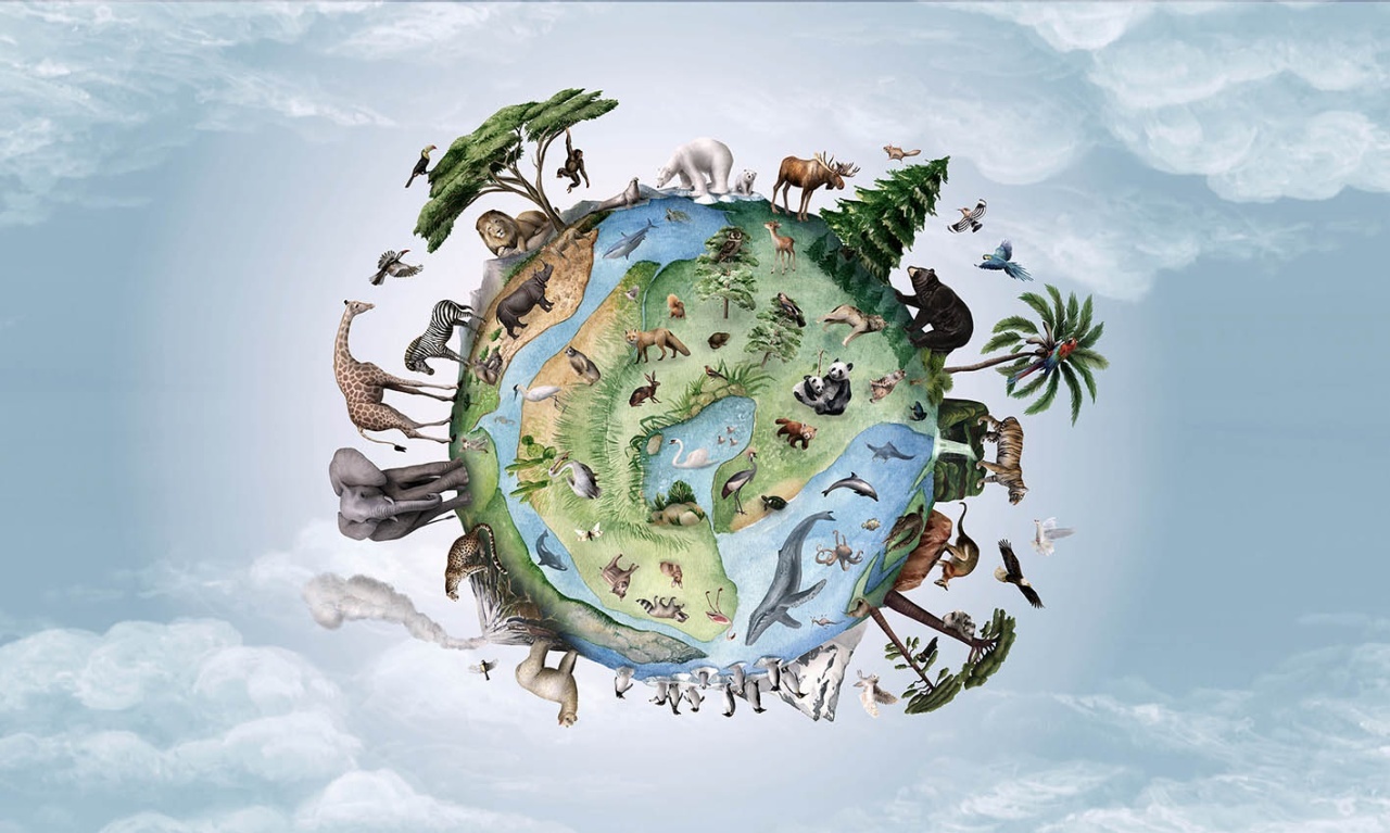 Fototapet Animals of Earth, Kikki Belle — imaginea 2