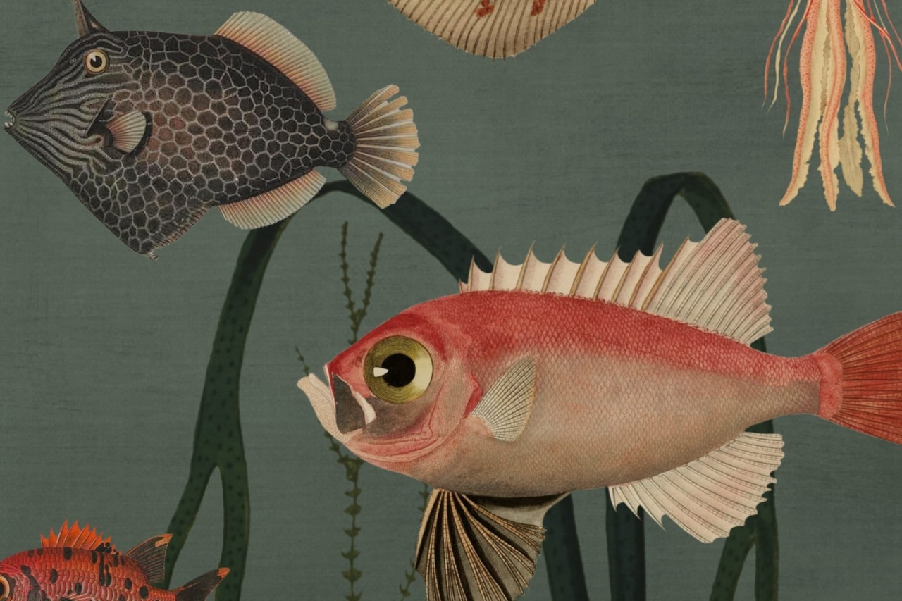 Fototapet, Aquatic Life, Oxygen, Rebel Walls - 4