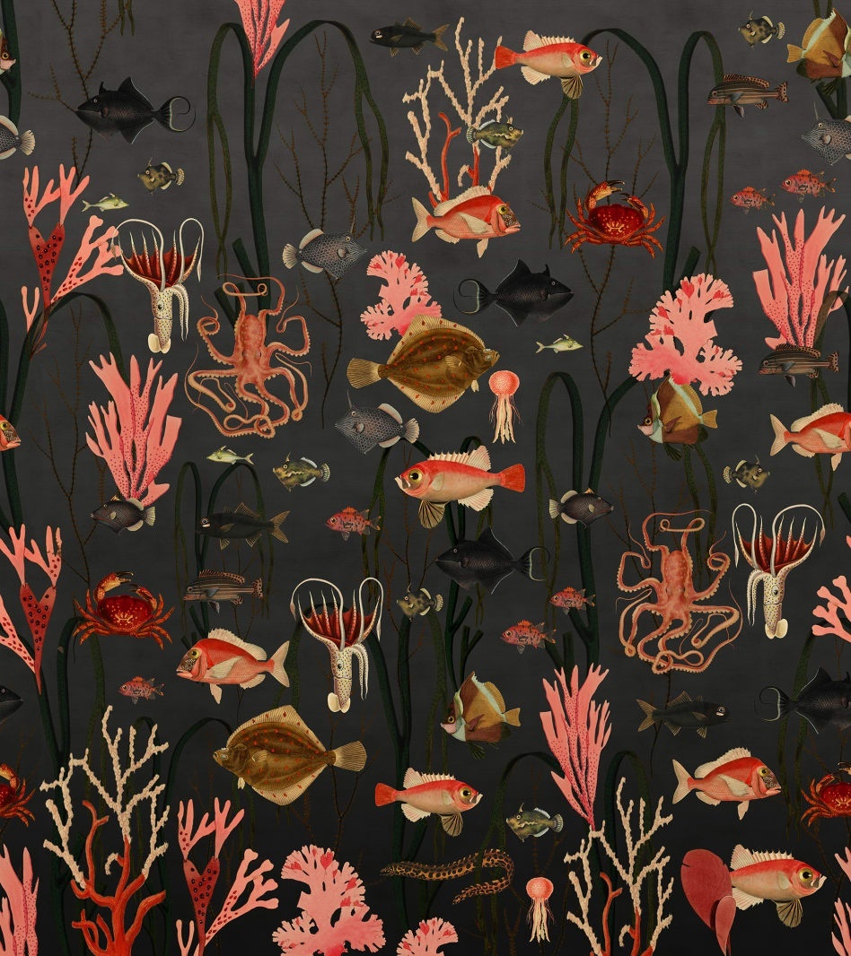 Fototapet, Aquatic Life, Shadows, Rebel Walls - 2