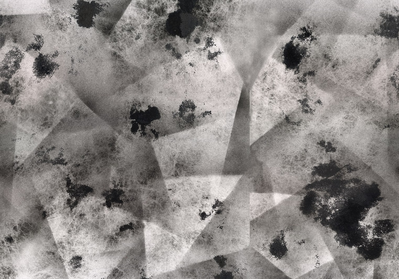 Fototapet, Ash, Graphite, Rebel Walls - 2