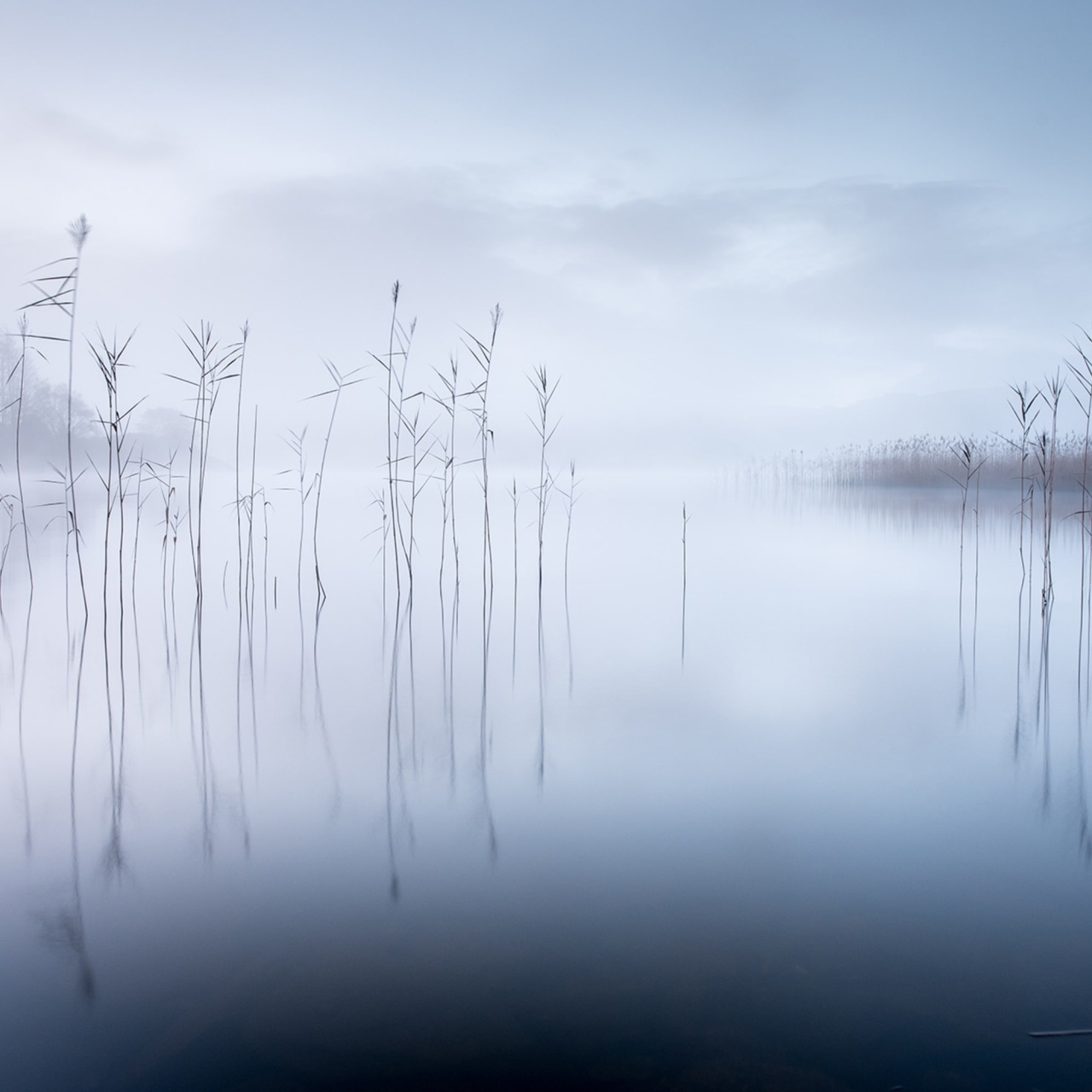 Fototapet, Calm Lake, Rebel Walls - 2