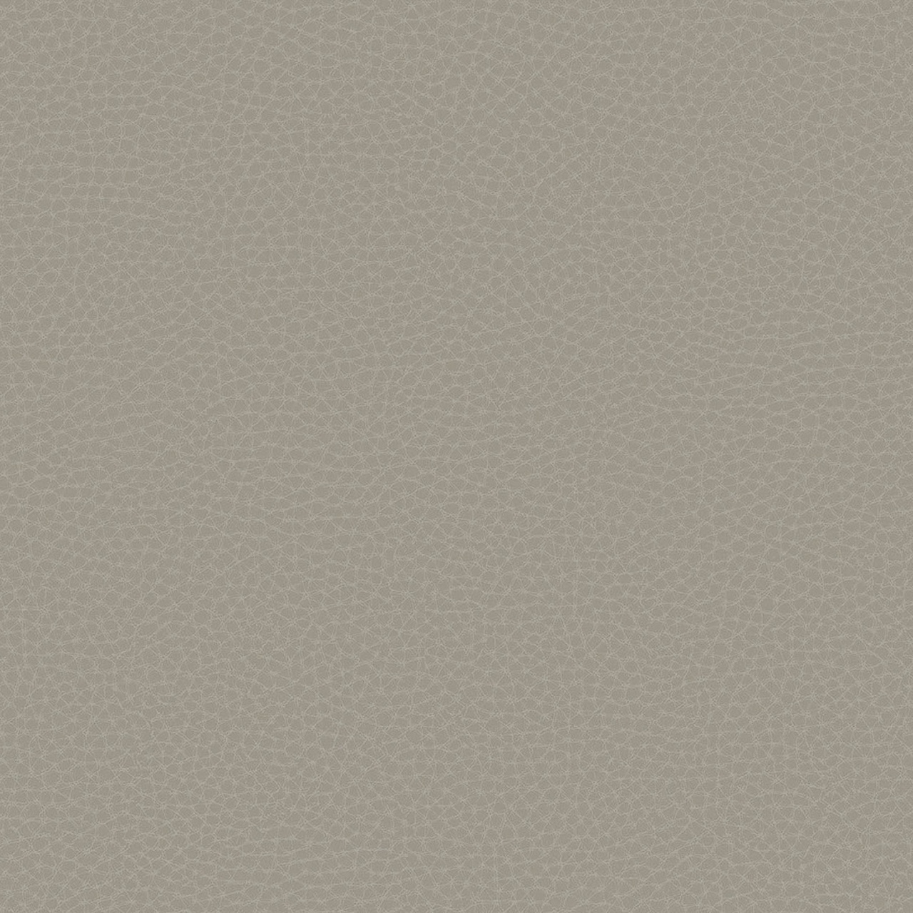 Fototapet, Chic Leather, 64788008, Coordonne