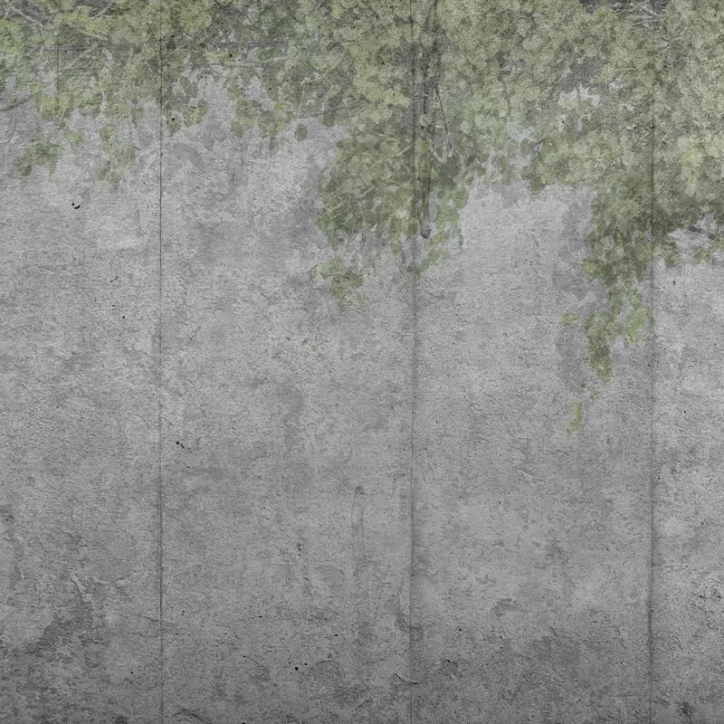 Fototapet Concrete Vine, VLAdiLA - 2