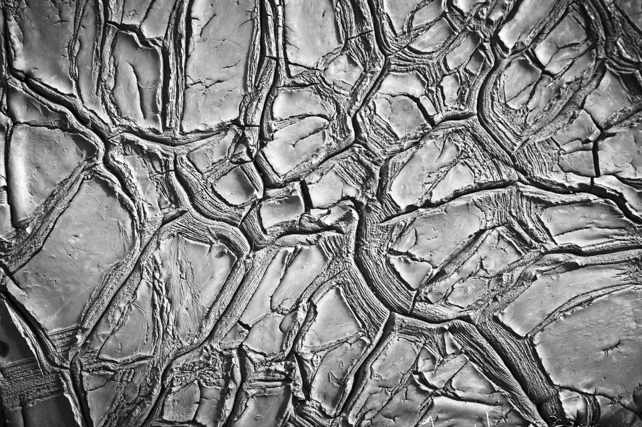 Fototapet, Dried Clay, Rebel Walls - 2