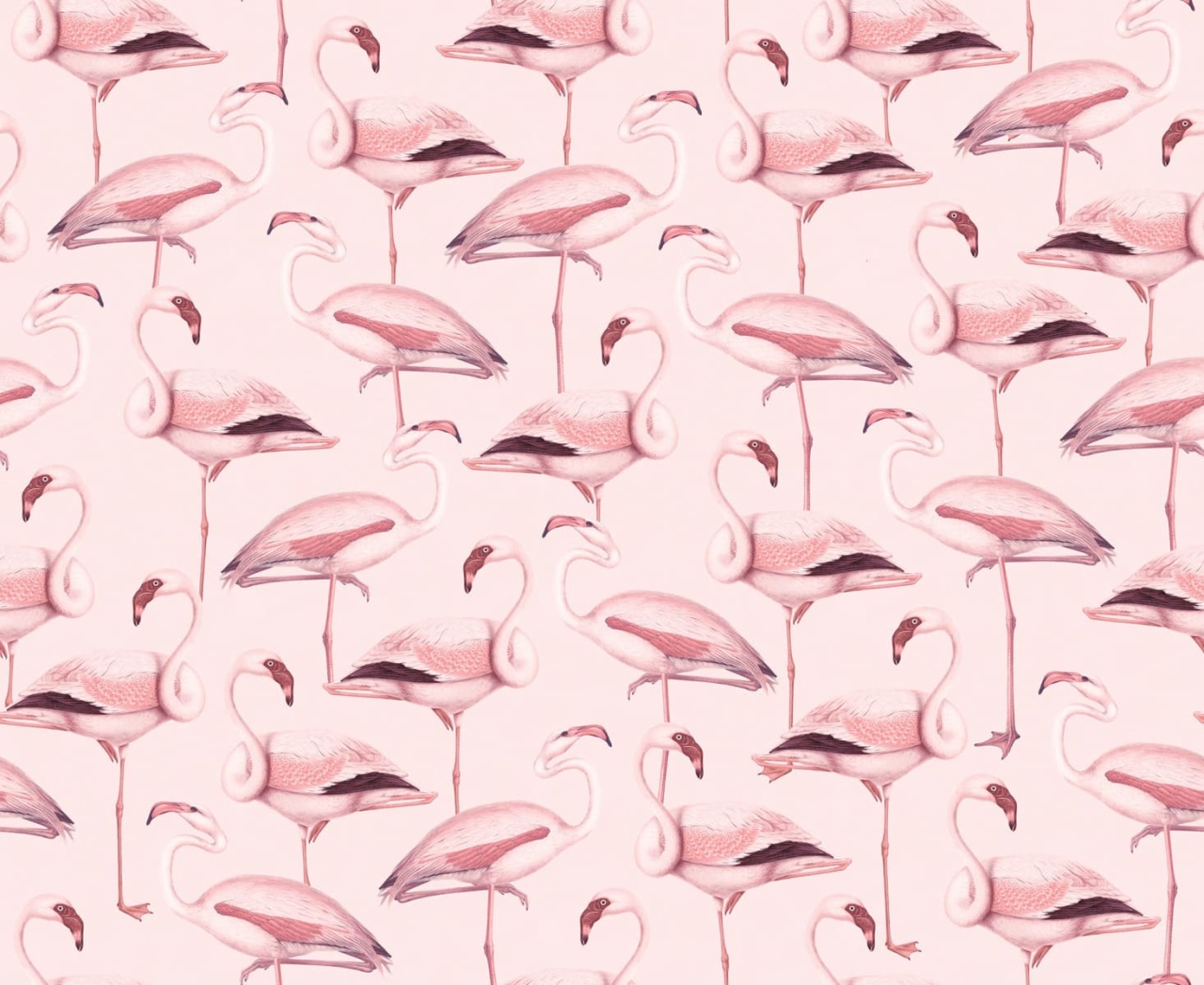 Fototapet, Flamingos, Bubblegum, Rebel Walls - 2