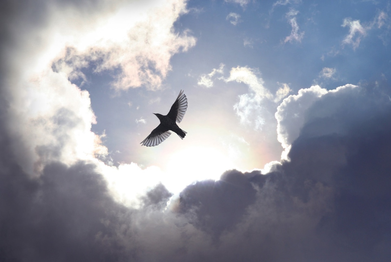Fototapet, Free as a Bird, Rebel Walls - 2