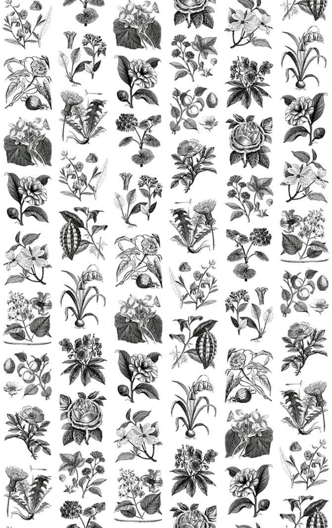 Fototapet, Fruit & Flora, Rebel Walls - 2