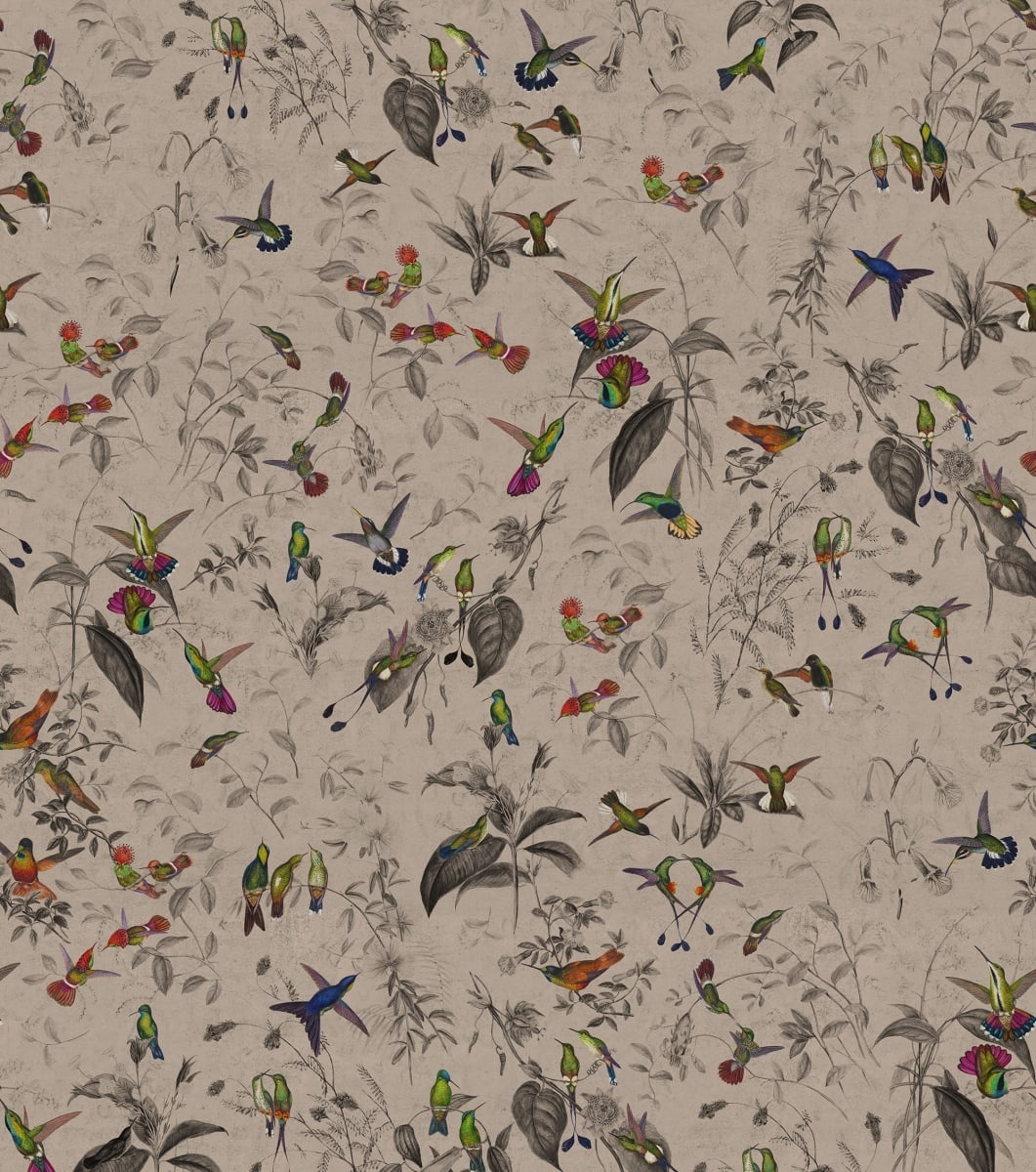 Fototapet, Hummingbird, Beige, Rebel Walls - 2