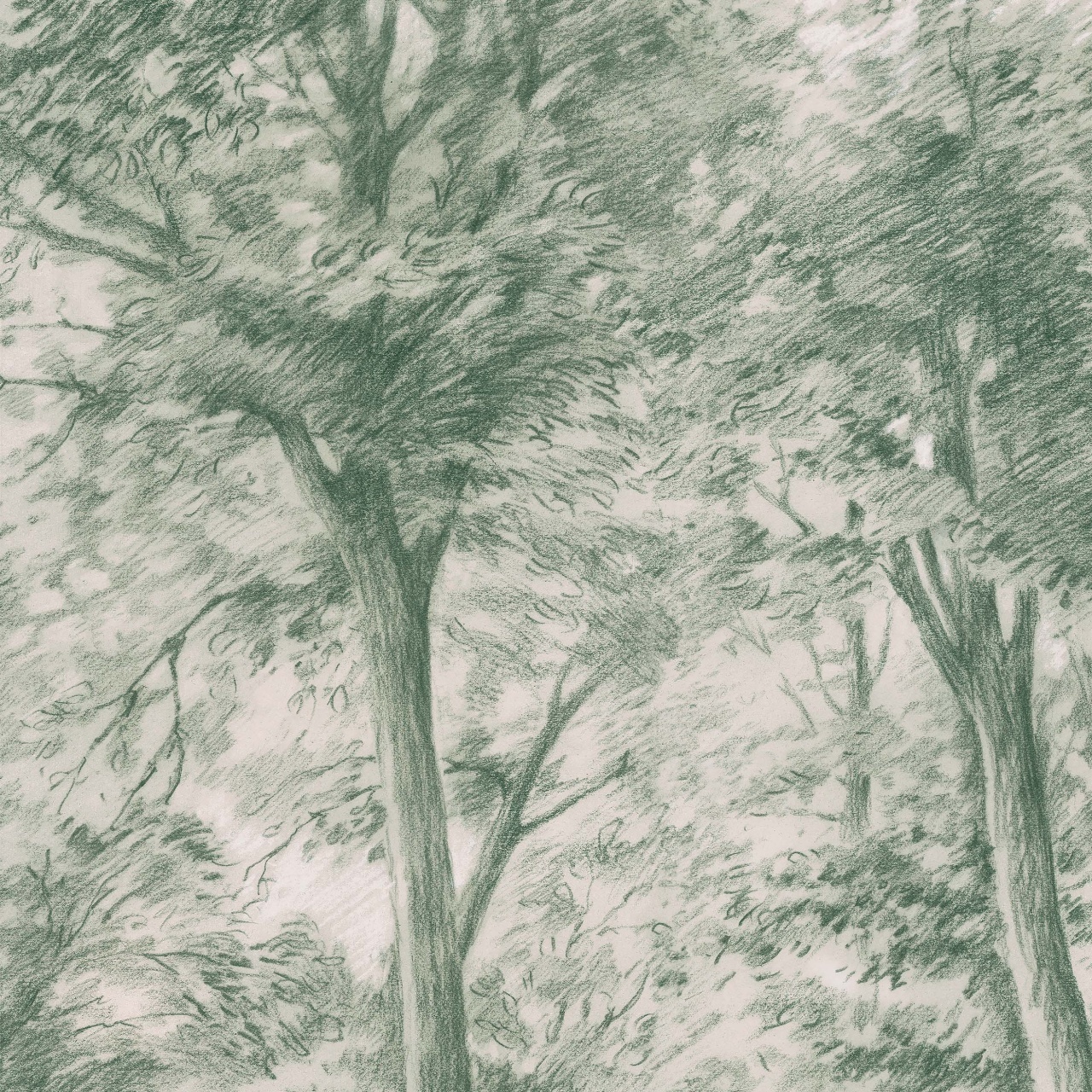 Fototapet lavabil, Sketch of Trees 9632W — imaginea 2