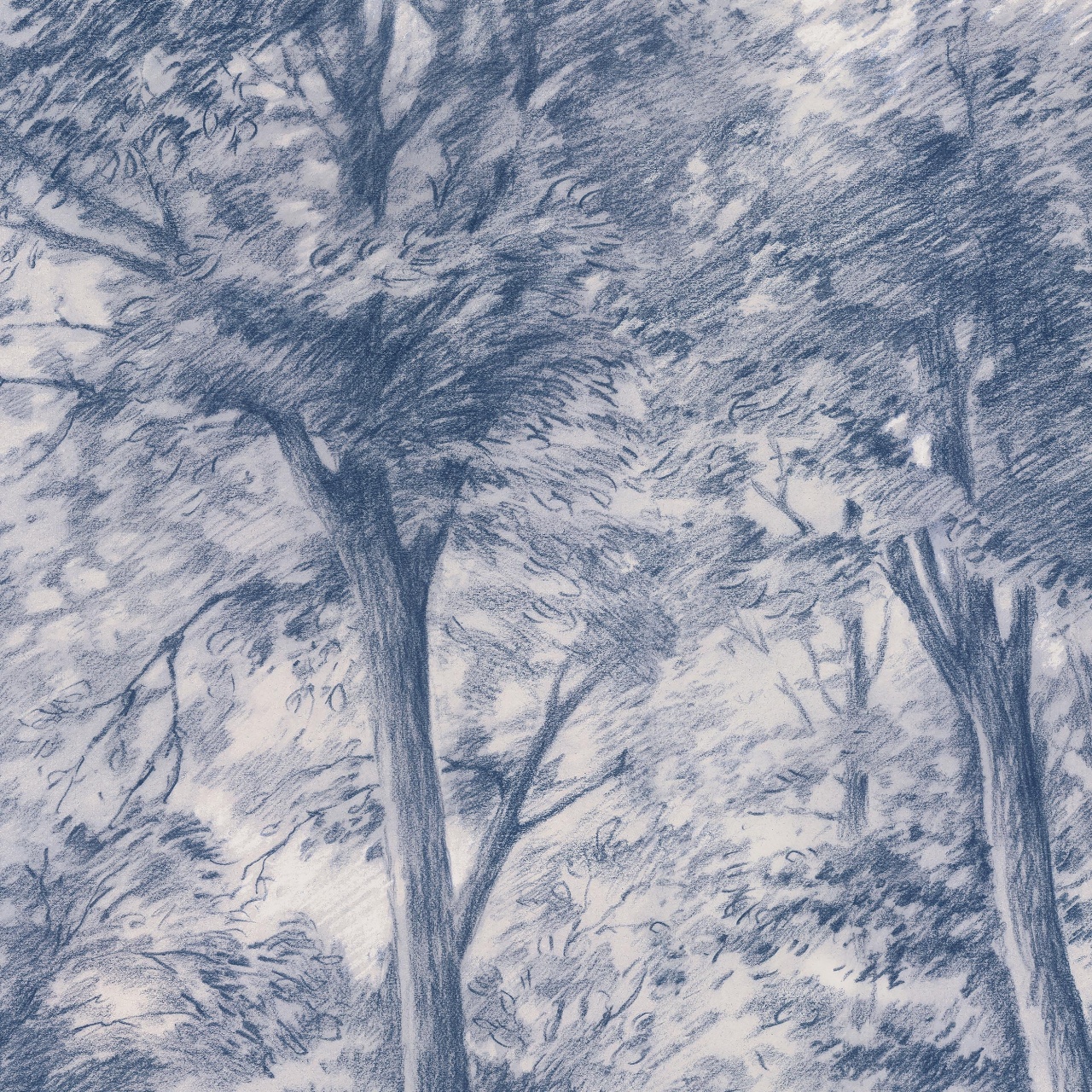 Fototapet lavabil, Sketch of Trees 9633W — imaginea 2