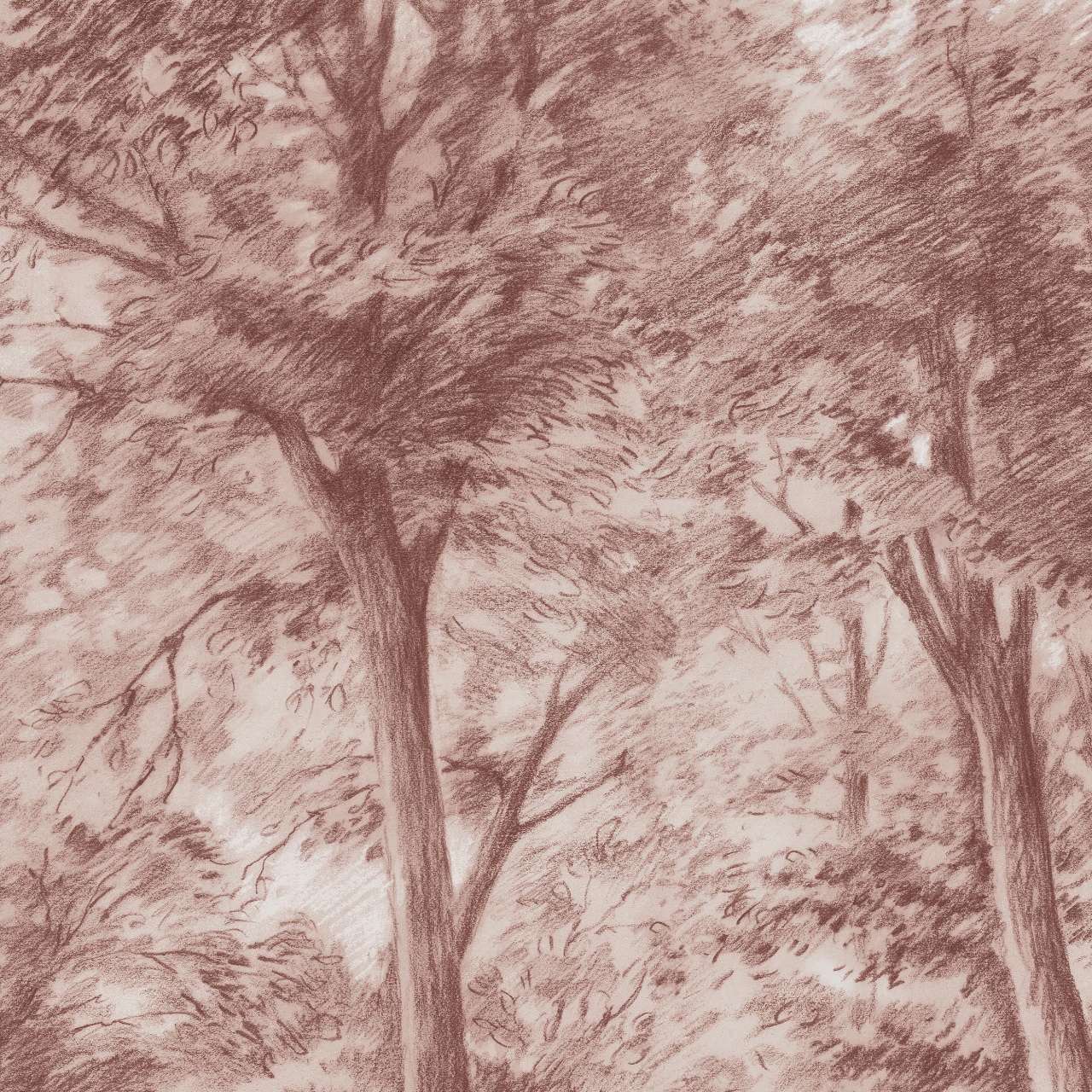 Fototapet lavabil, Sketch of Trees 9634W — imaginea 4