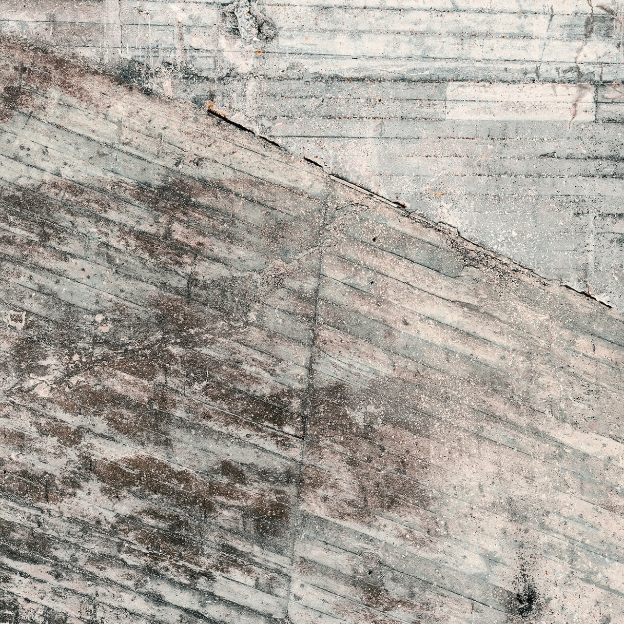 Fototapet, Lingering Wall, Rebel Walls - 2