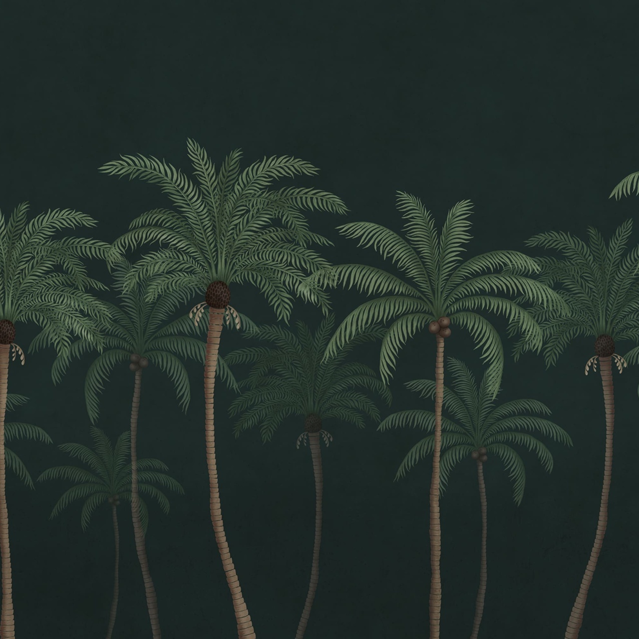 Fototapet, Palm Parade, Black, Rebel Walls - 2