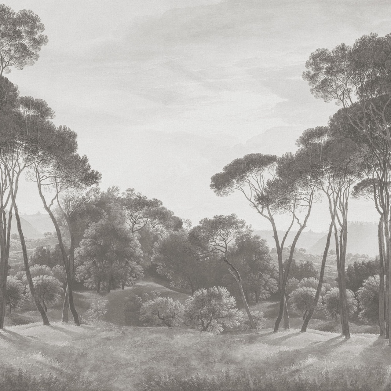 Fototapet, Pine Wood, Gray, Rebel Walls - 2
