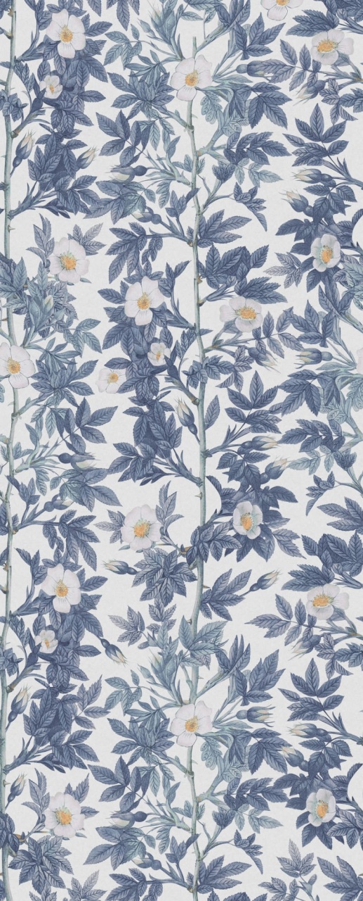 Fototapet, Rose Hip, Blue, Rebel Walls - 2