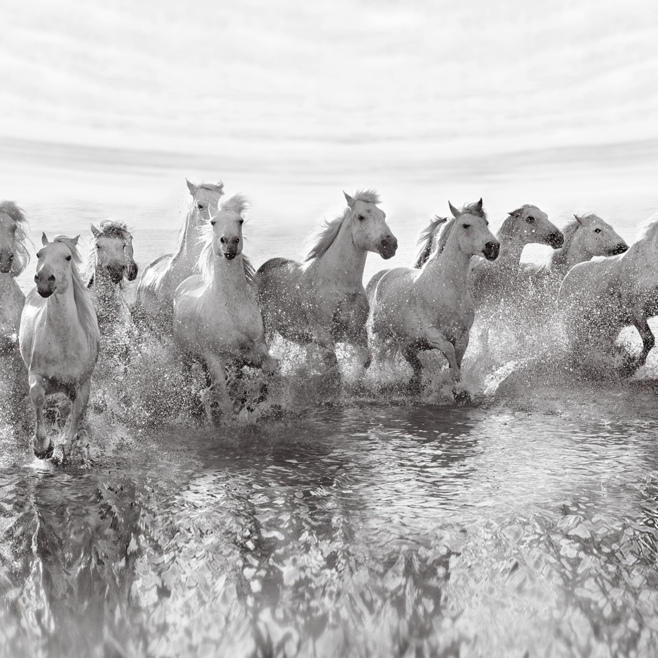 Fototapet, Running Horses, Rebel Walls - 2