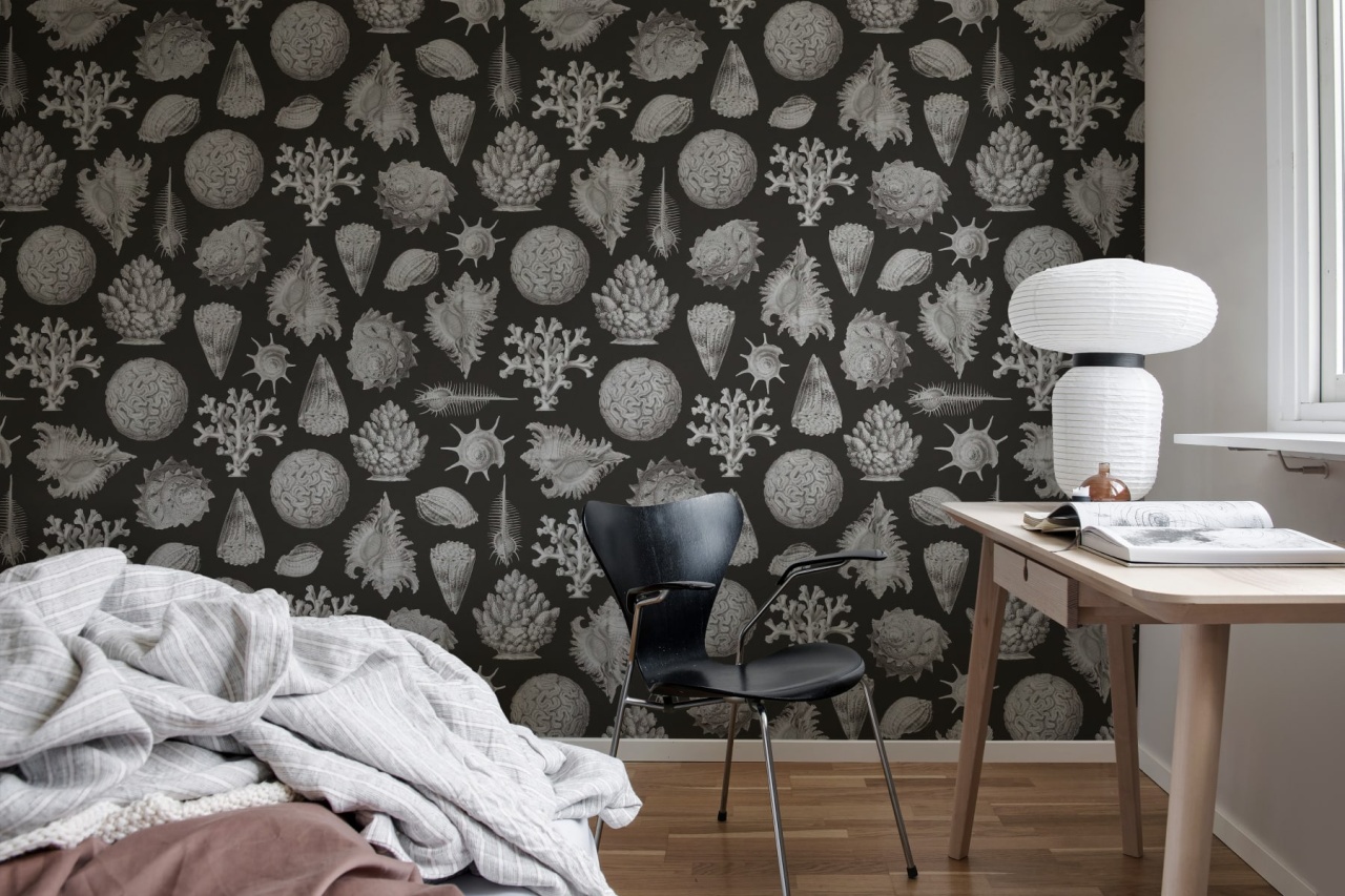 Fototapet, Seashells, Graphite, Rebel Walls