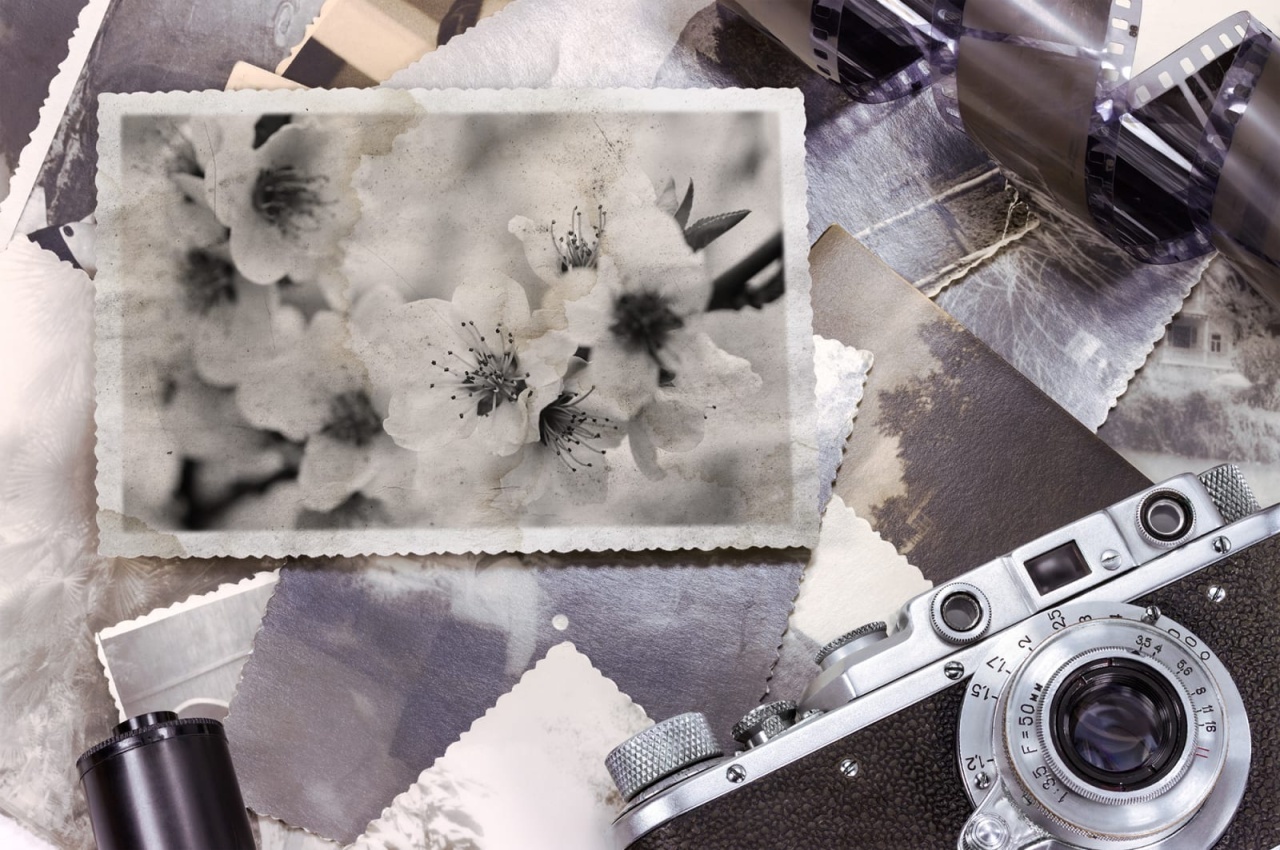 Fototapet, Snapshot Memories, Rebel Walls — imaginea 2
