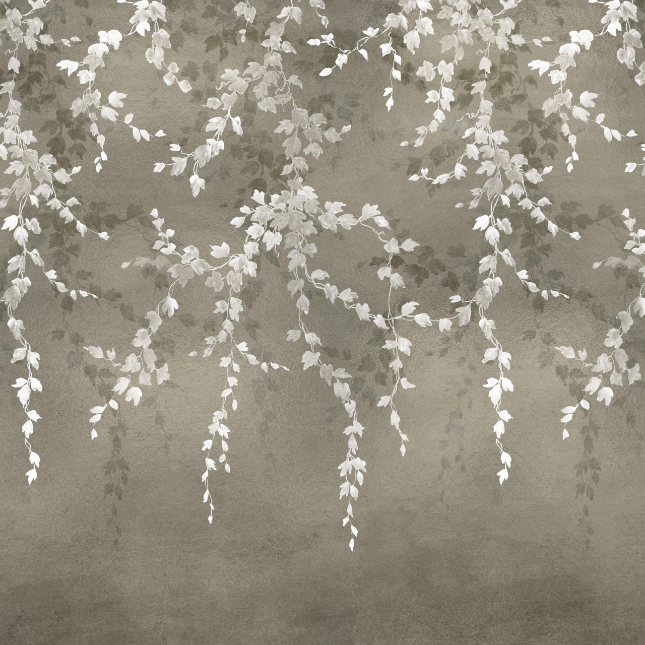 Fototapet Vine Shadow, Silver, Coordonne - 2