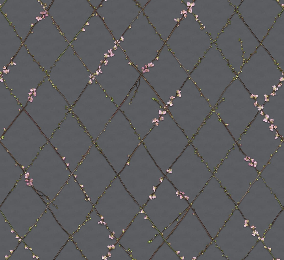 Fototapet, Winding Spring, Black, Rebel Walls - 2