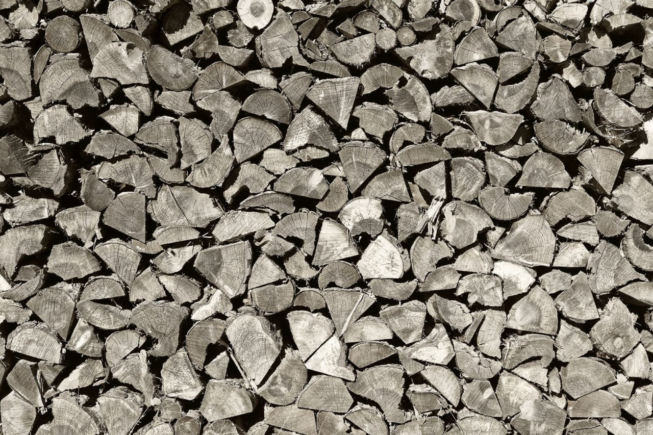 Fototapet, Woodpile, Rebel Walls - 2