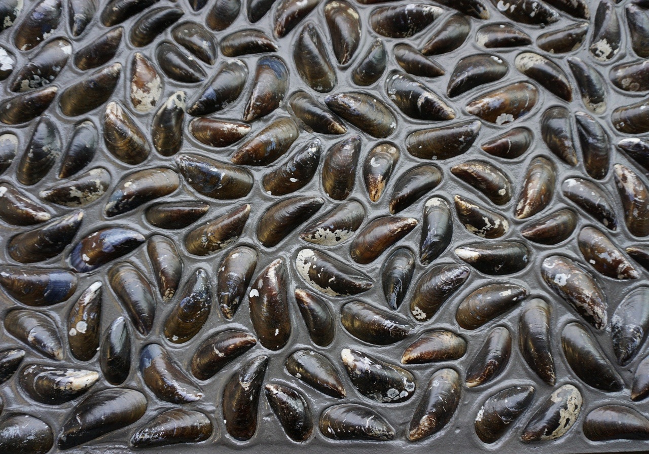 Panou decorativ 3D, Scoici, Dutch Dyke Black, 100x100 cm - Img 1
