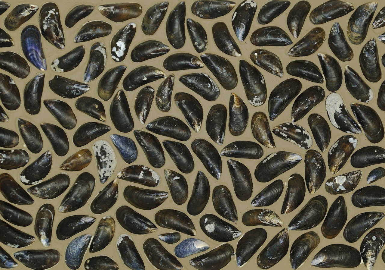 Panou decorativ 3D, Scoici, Dutch Dyke Colored, 100x100 cm - Img 1