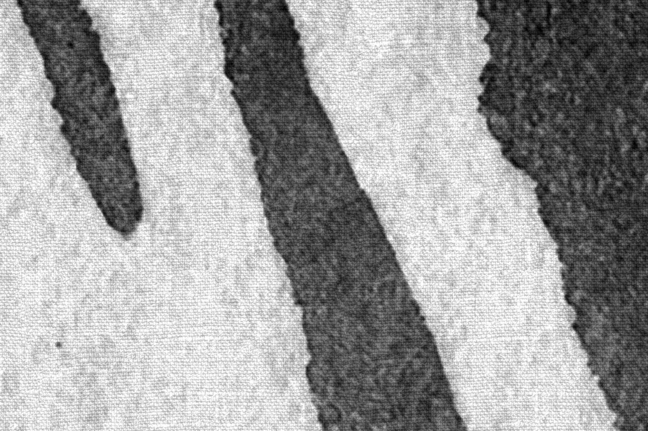 Tapet Zebra Stripes, Graphite, Rebel Walls - 2 | YEO