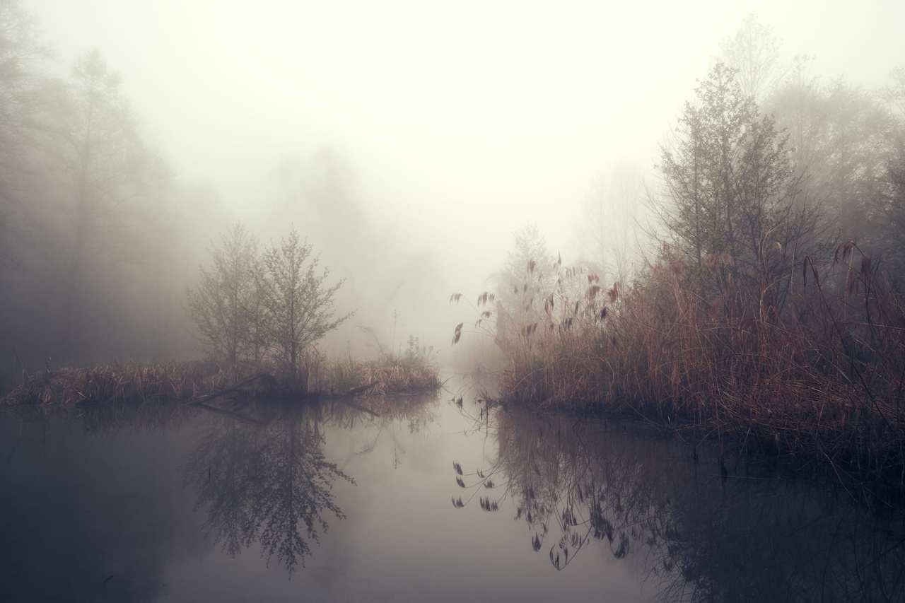 Fototapet, Autumn Pond, Rebel Walls - 2