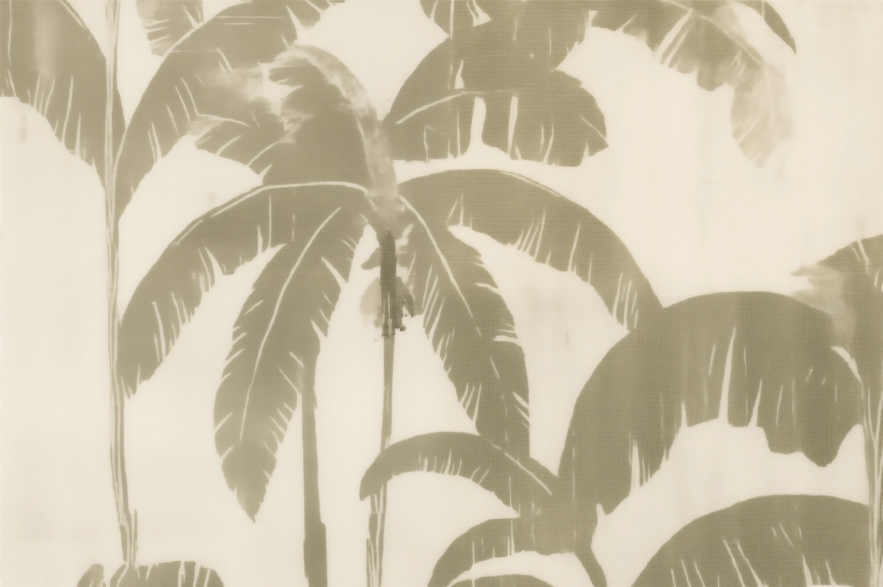 Fototapet Botanic Serenite Caraibes Reve SC100