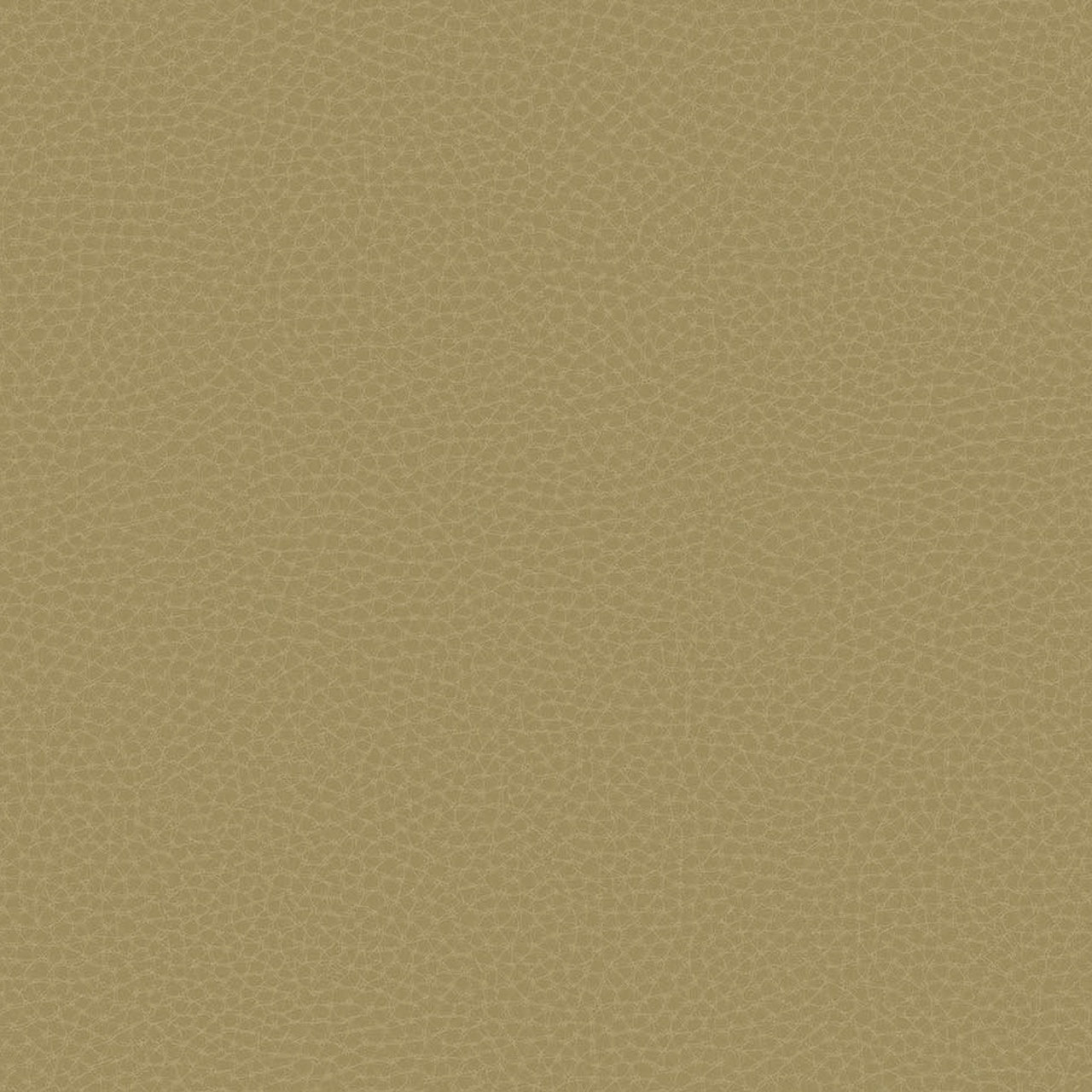 Fototapet, Chic Leather, 64788005, Coordonne