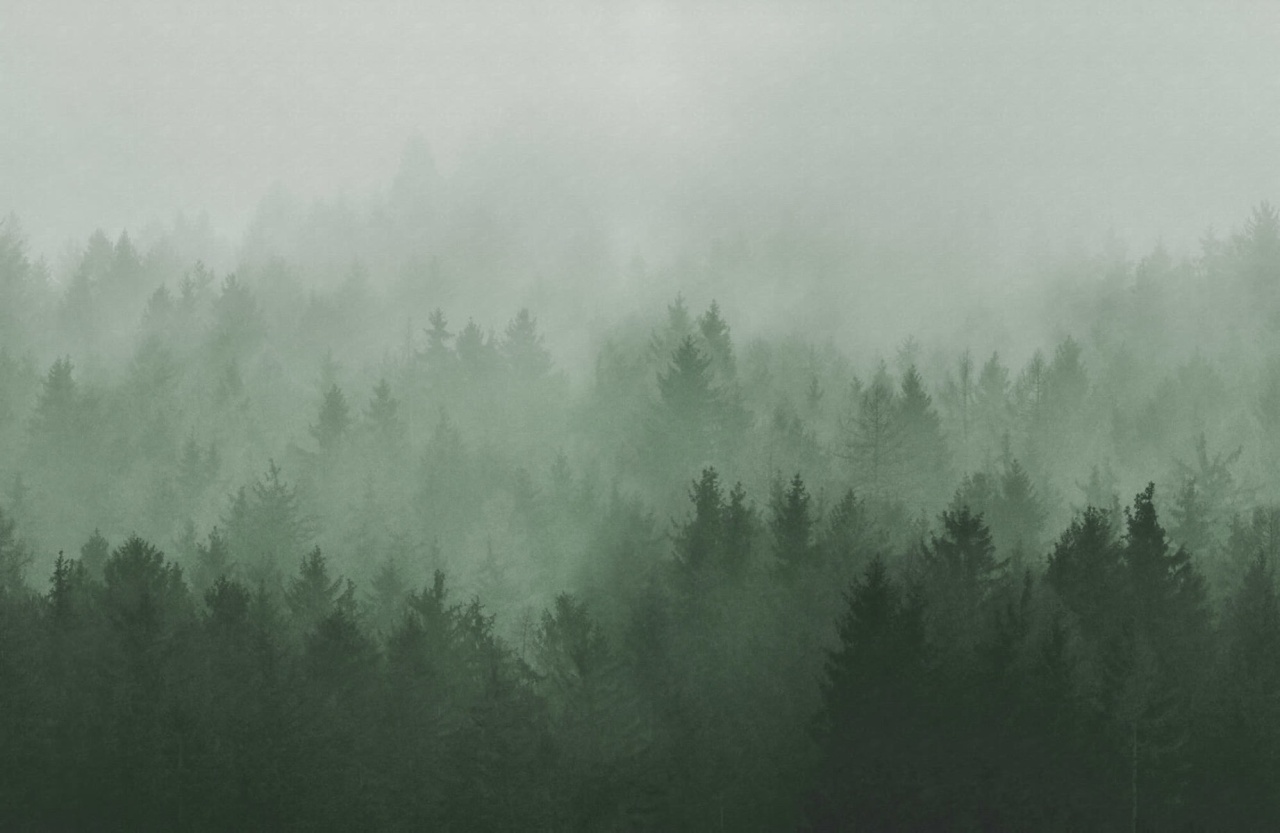 Fototapet, Cloudy Forest, Green, Rebel Walls - 2