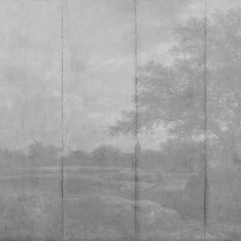 Fototapet Countryside (gray), VLAdiLA - 3