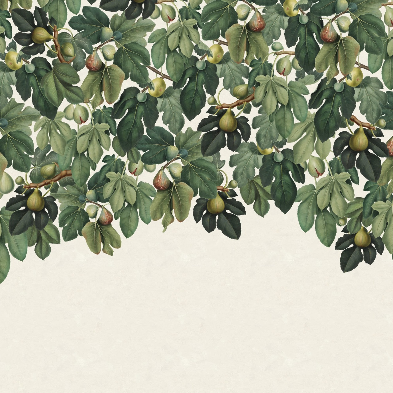 Fototapet, Dangling Figs, Green, Rebel Walls - 2