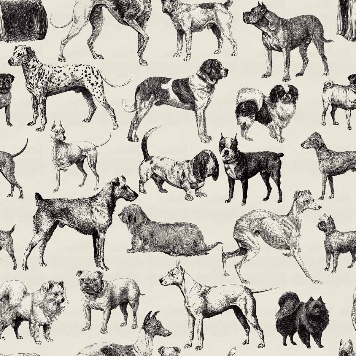 Fototapet, Dogs, Creme, Rebel Walls - 2