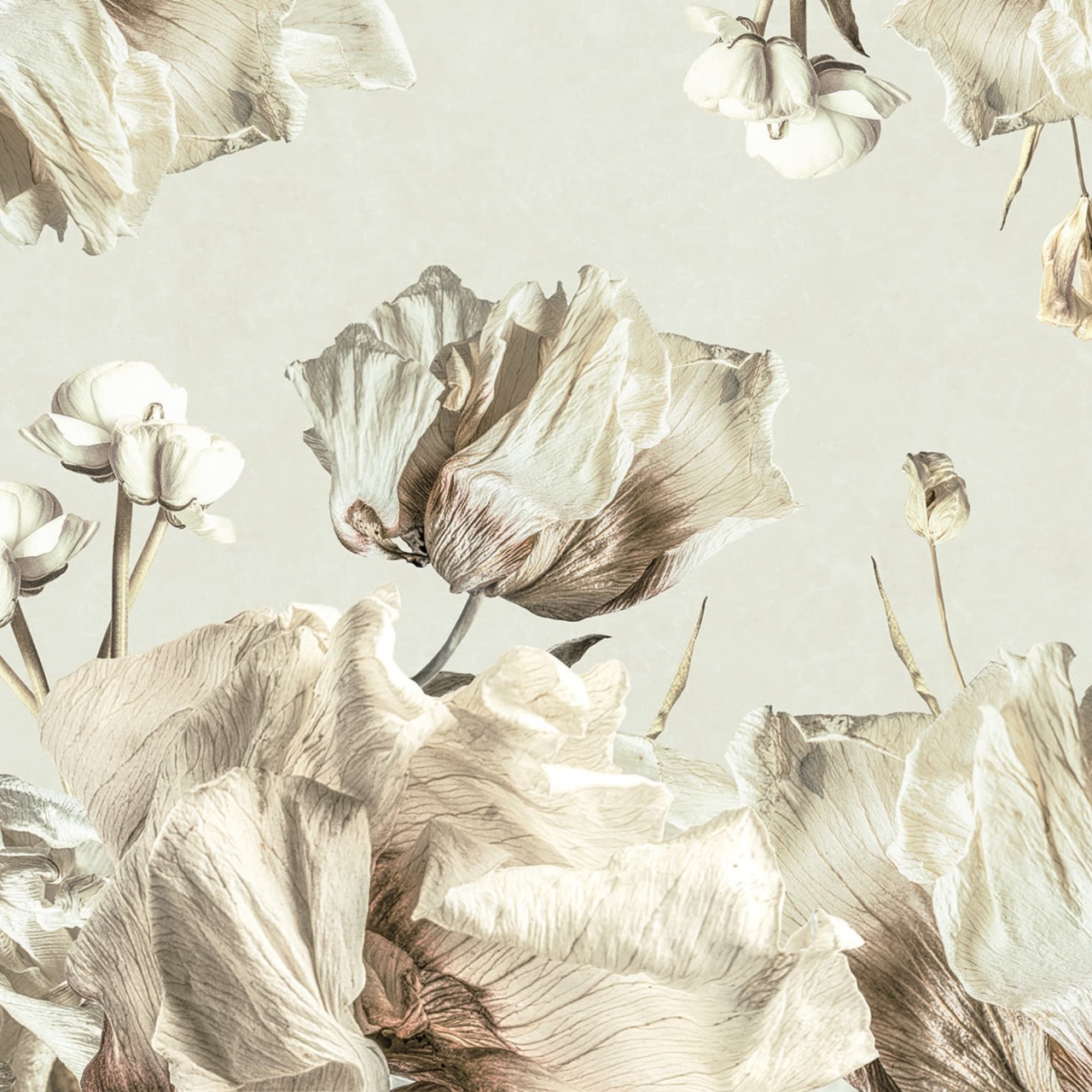 Fototapet, Dried Bouquet, Light, Rebel Walls - 2