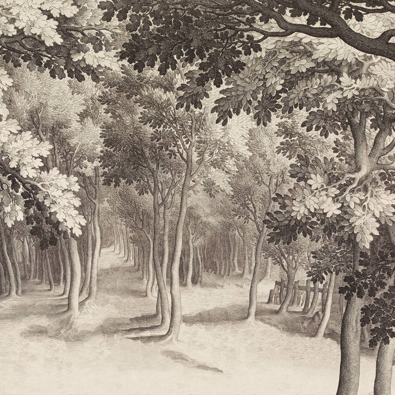 Fototapet, Forest Engraving, Vintage, Rebel Walls - 2