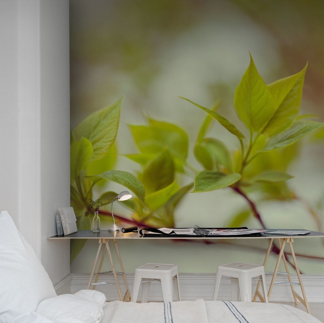 Fototapet, Green Leaves, Rebel Walls - 3