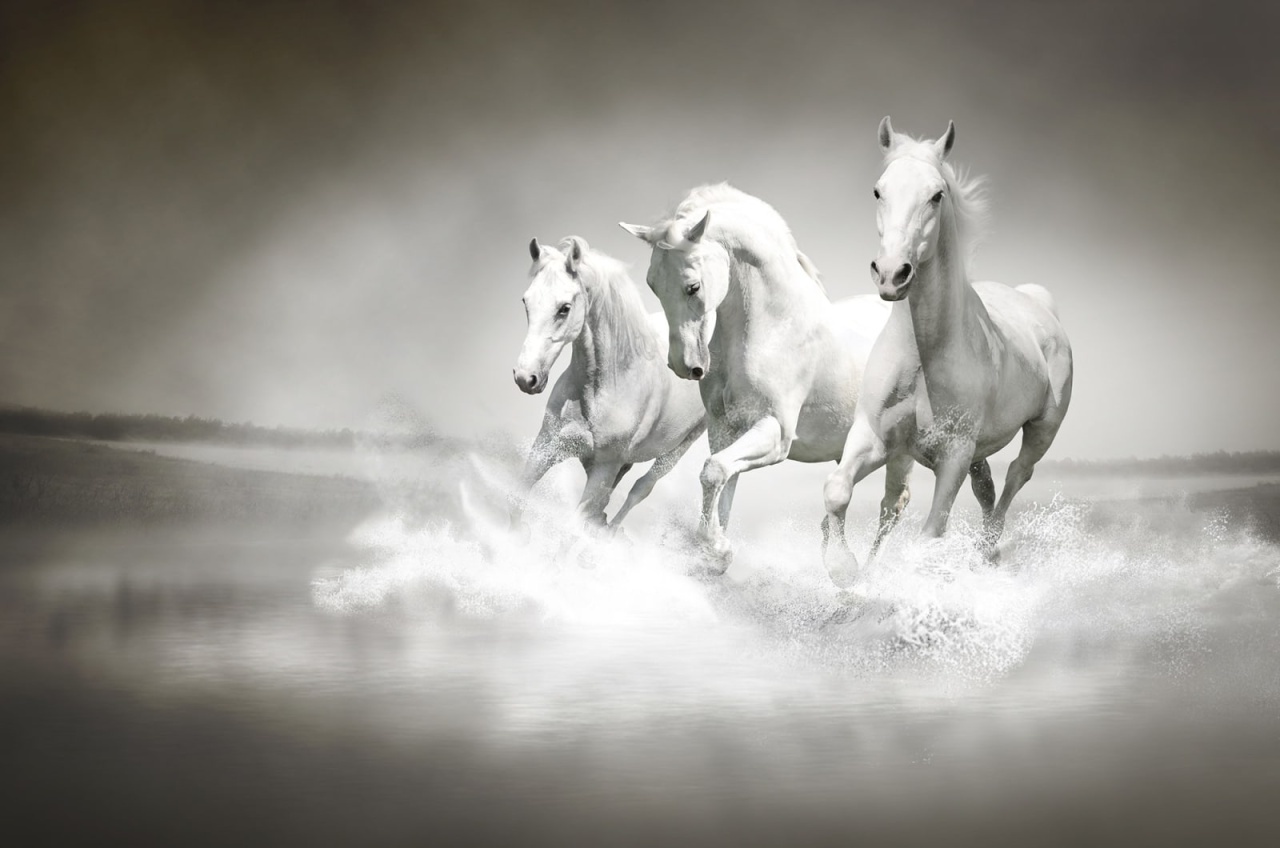 Fototapet, Horses, Rebel Walls - 2