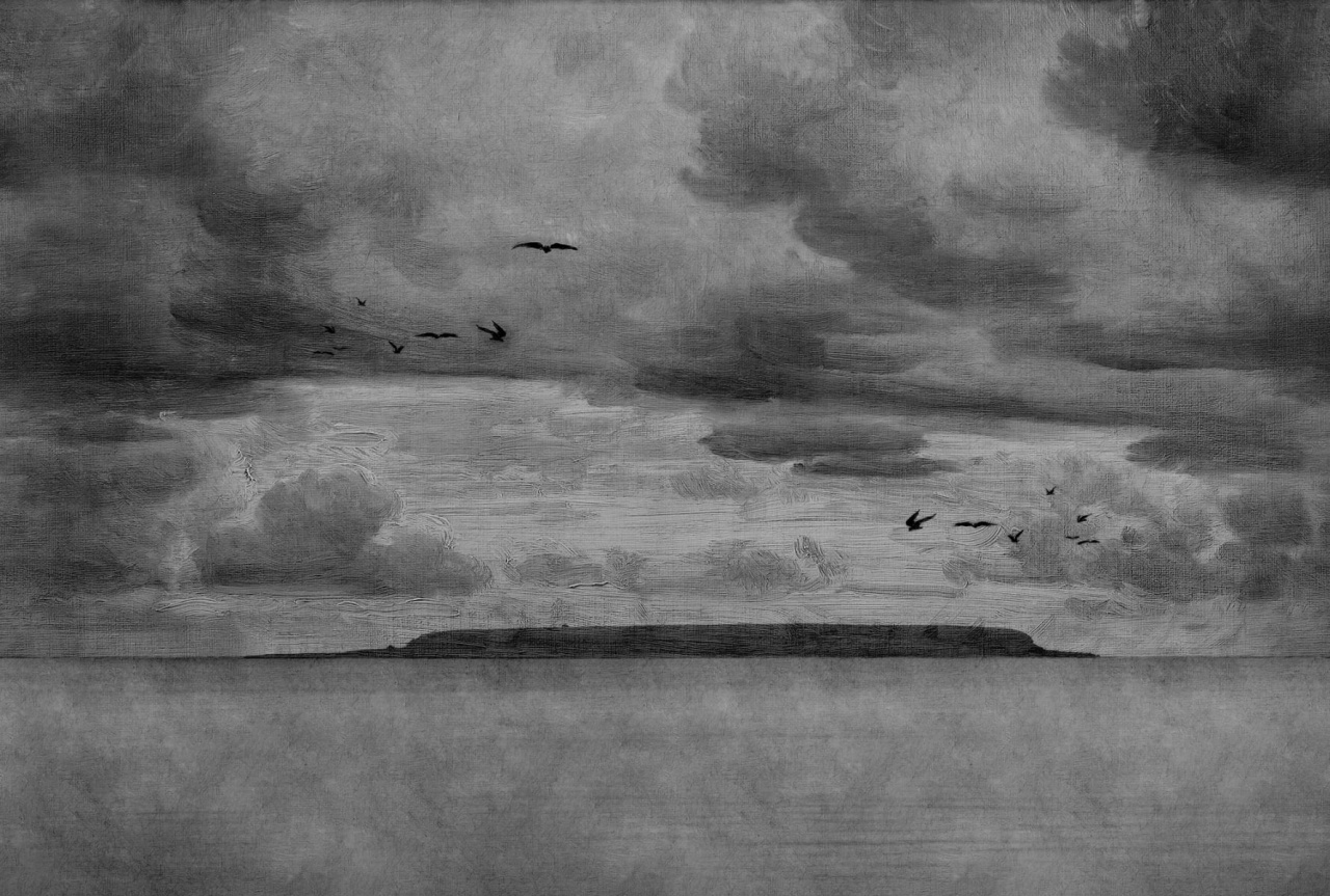 Fototapet, Seabirds, Black & White, Rebel Walls - 2