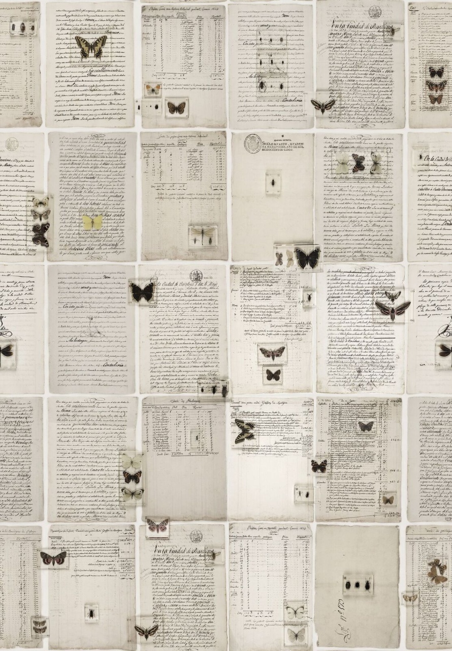 Fototapet, The Butterfly Library, Rebel Walls - 2