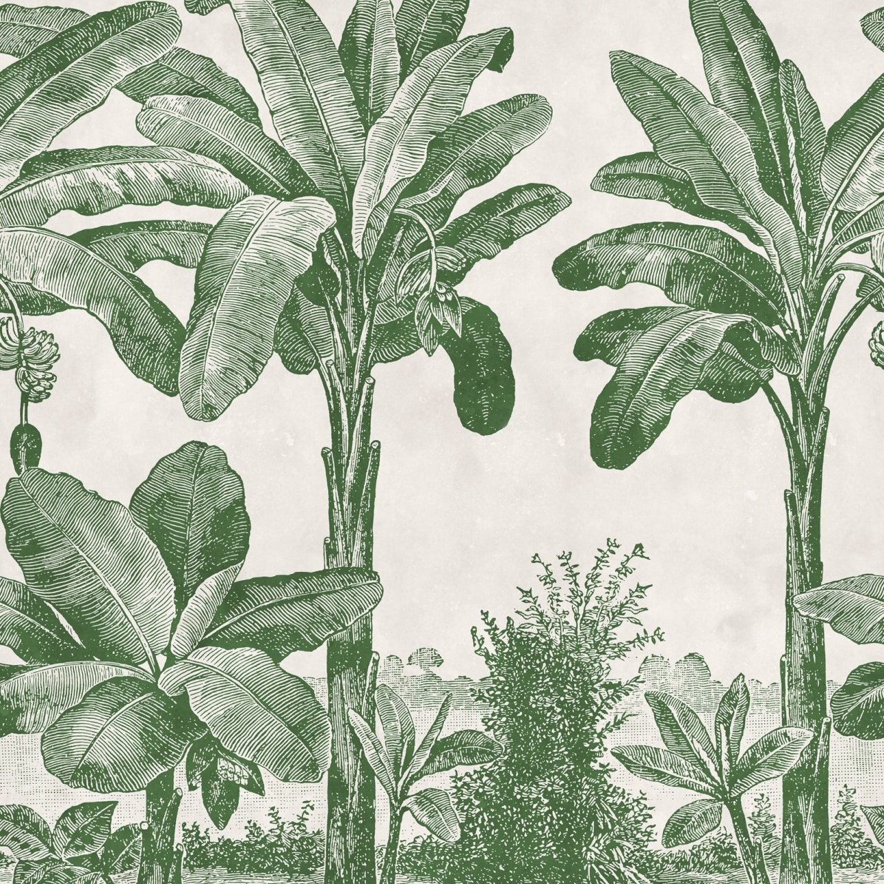 Fototapet, Timeless Tropics, Green, Rebel Walls - 2