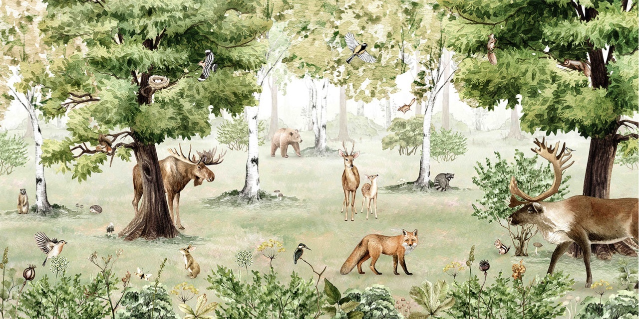 Fototapet Woodland Wonders, Kikki Belle - 2