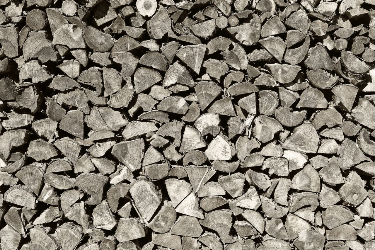Tapet Woodpile, Rebel Walls - 1 | YEO