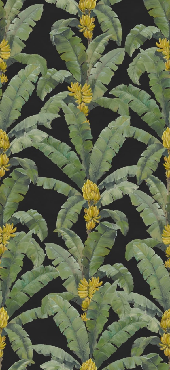 Fototapet, Banana Leaf, Black, Rebel Walls - 2