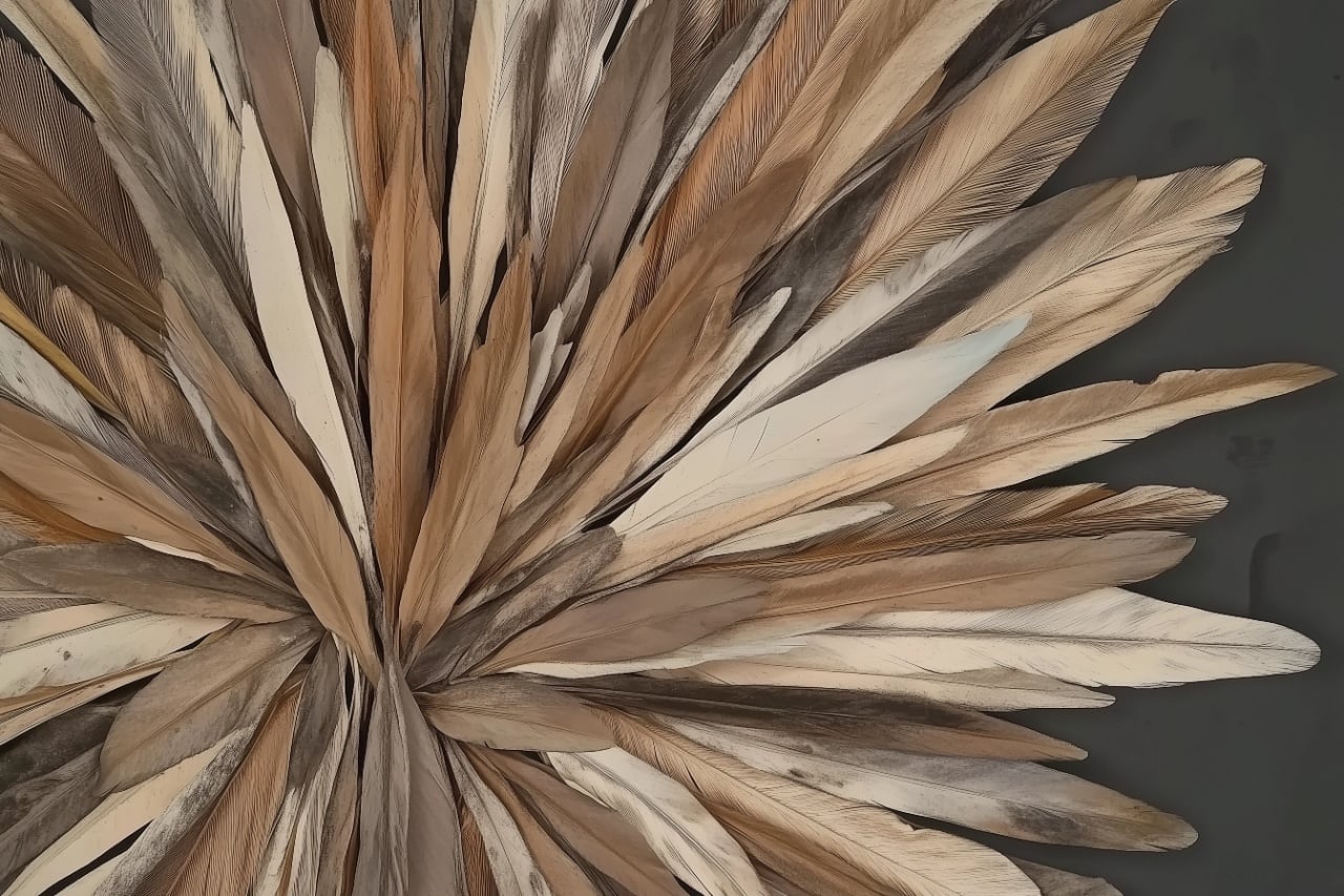 Fototapet Botanic Continent Mystique Masai Rêve CM203