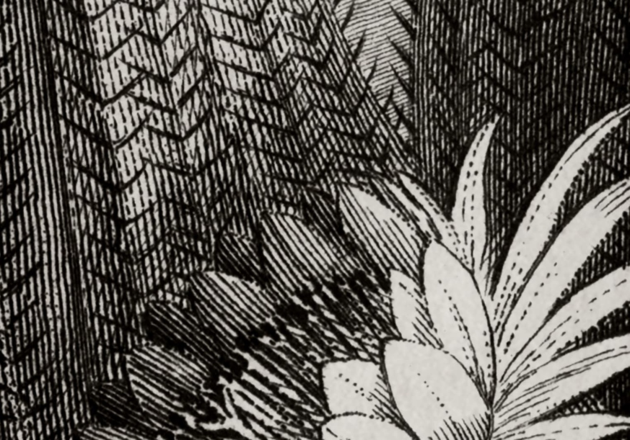 Fototapet, Cactus Garden, Rebel Walls - 5