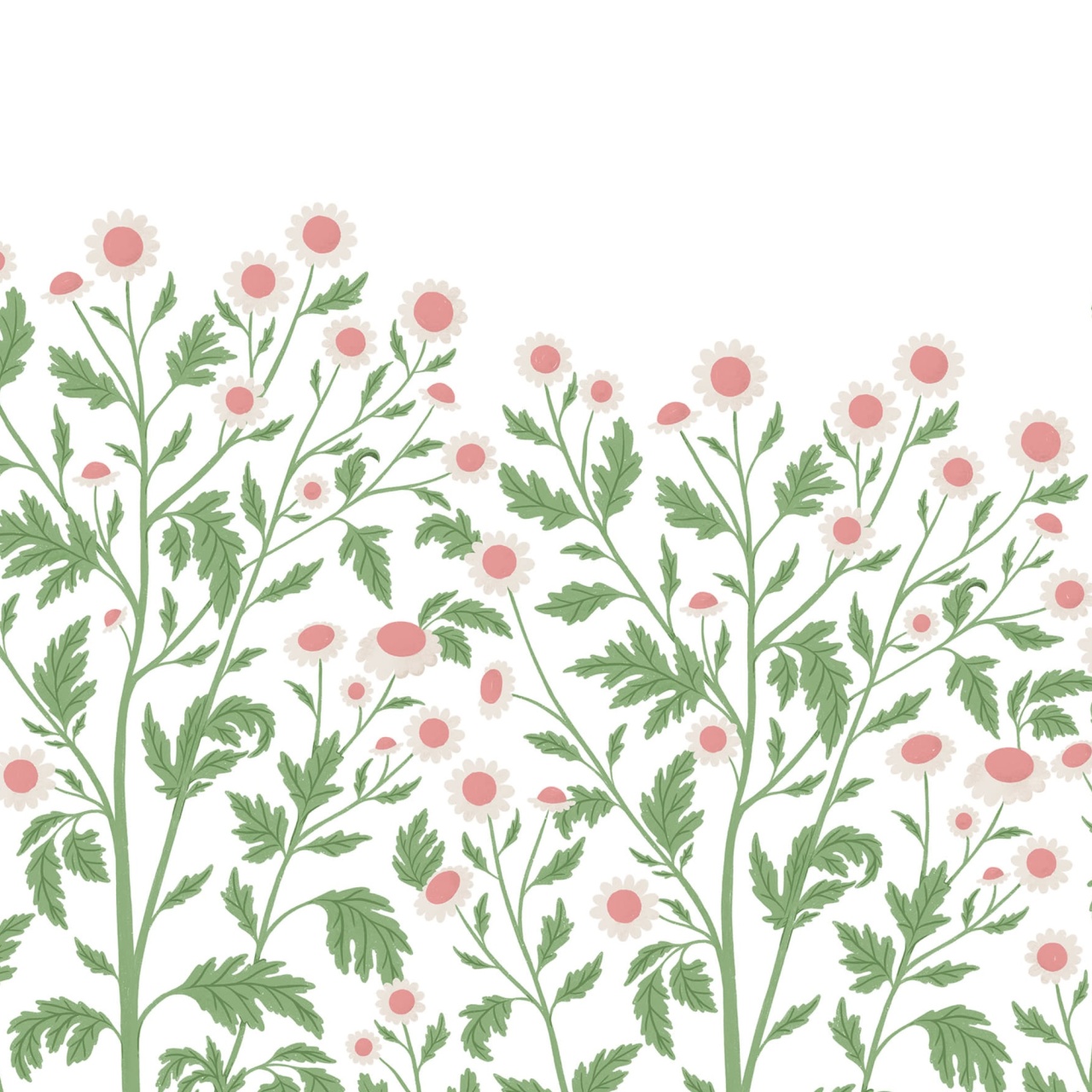 Fototapet, Chamomille, Spring, Rebel Walls - 2